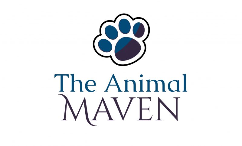 The Animal Maven